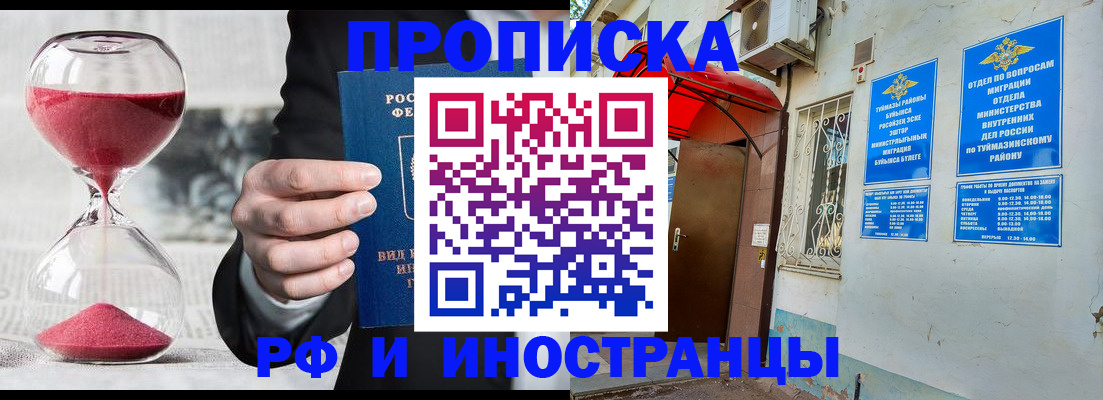 прописка 2025 в Чайковском